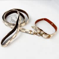 قلاده سگ مدل سگک دار چرم